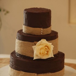 Polivka/Langsdon Wedding - Groom's Cake