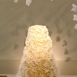 Polivka/Langsdon Wedding - Cake