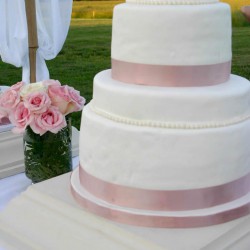 Davis/Blair Wedding - Cake