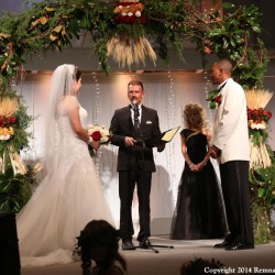 Fall Harvest Wedding Chuppah | Greenery and Wheat with Maroon Accents