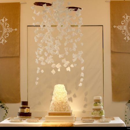 Polivka/Langsdon Covenant Wedding Polivka/Langsdon Wedding - Wedding Cake