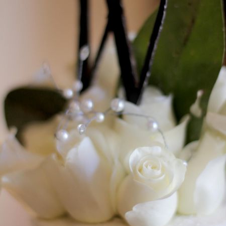 Walston Wedding - Cake Topper