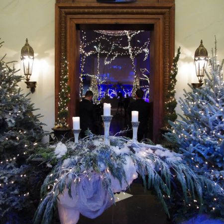 January Winter Lights and Pine Sanctuary Decorations