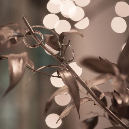 January Winter Wedding Ring Display Photo Inspiration