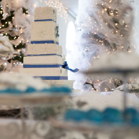 Zanoni/ Maginnis Covenant Wedding January Winter Wedding Cake- Blue Accents